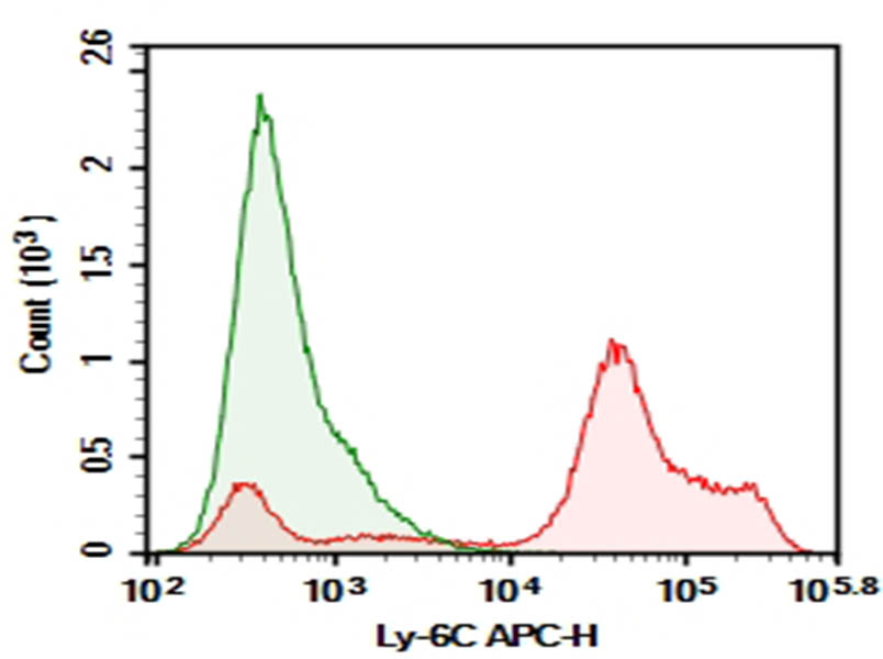 Purified Anti-Mouse Ly-6C Antibody[HK1.4]-searchlist-1