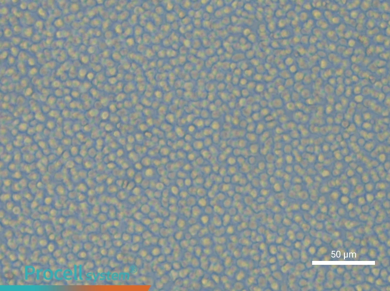 ML-2 Cell Complete MediumML-2 Cell Complete Medium - 6