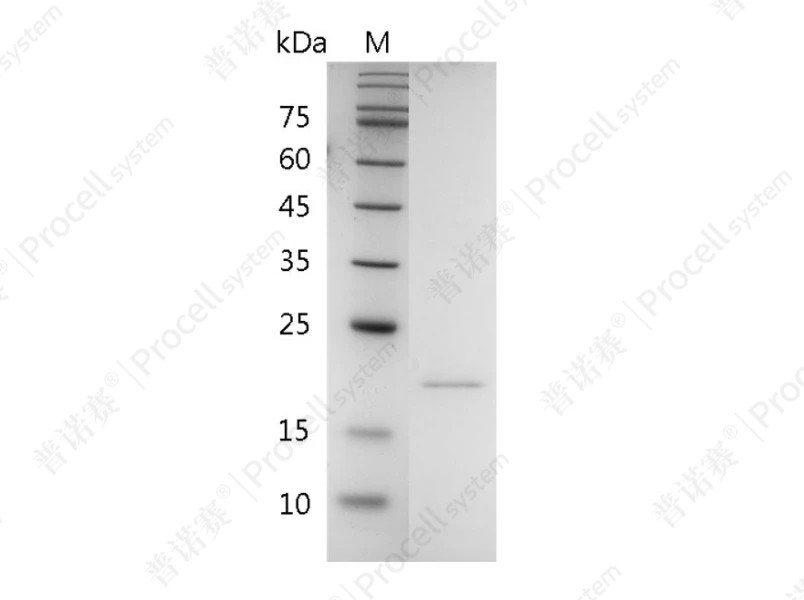 https://789.bio/ec/HR8dPO