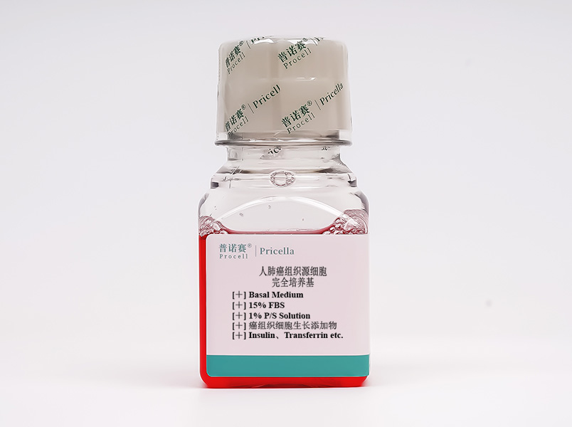 https://789.bio/ec/HRCxPK