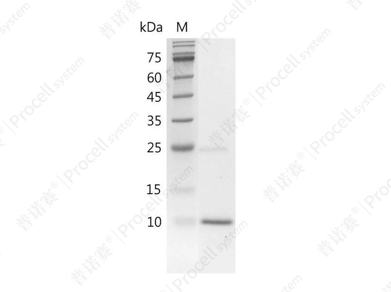 https://789.bio/ec/HRVaHR