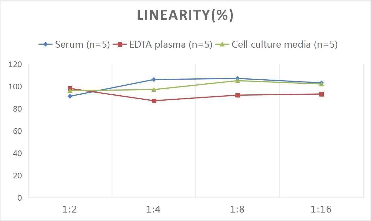 Mini Sample Mouse SAA ( Serum Amyloid A ) ELISA Kit-产品推荐-1