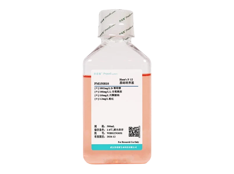 https://789.bio/ec/HU8J91w0