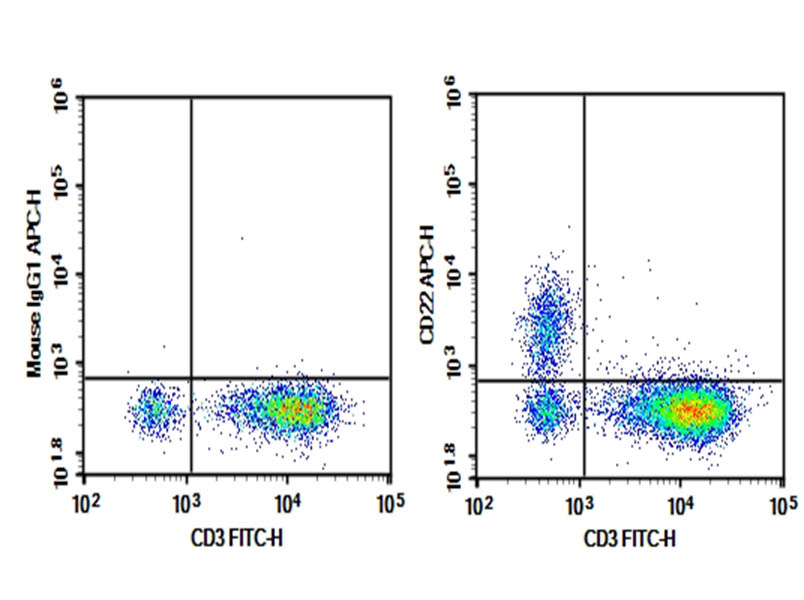 Purified Anti-Mouse CD22 Antibody[Cy34.1]-searchlist-1