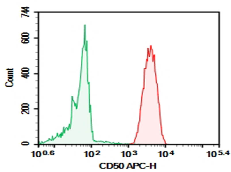 Purified Anti-Human CD50 Antibody[CBR-IC3/1]-searchlist-1