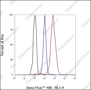 Recombinant FASN Monoclonal Antibody - 6
