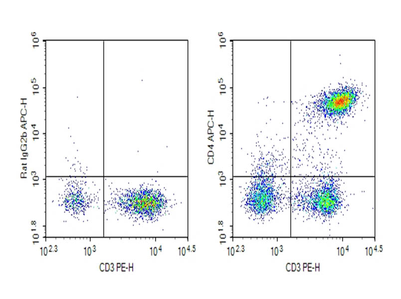 Purified Anti-Mouse CD4 Antibody[RM4-4] - 1
