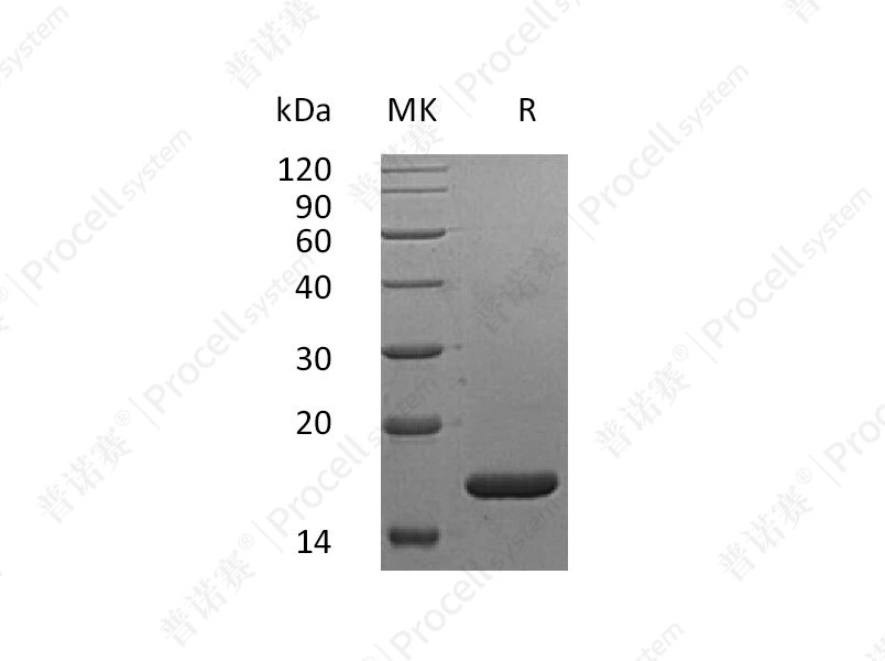 https://789.bio/ec/Hh54CO