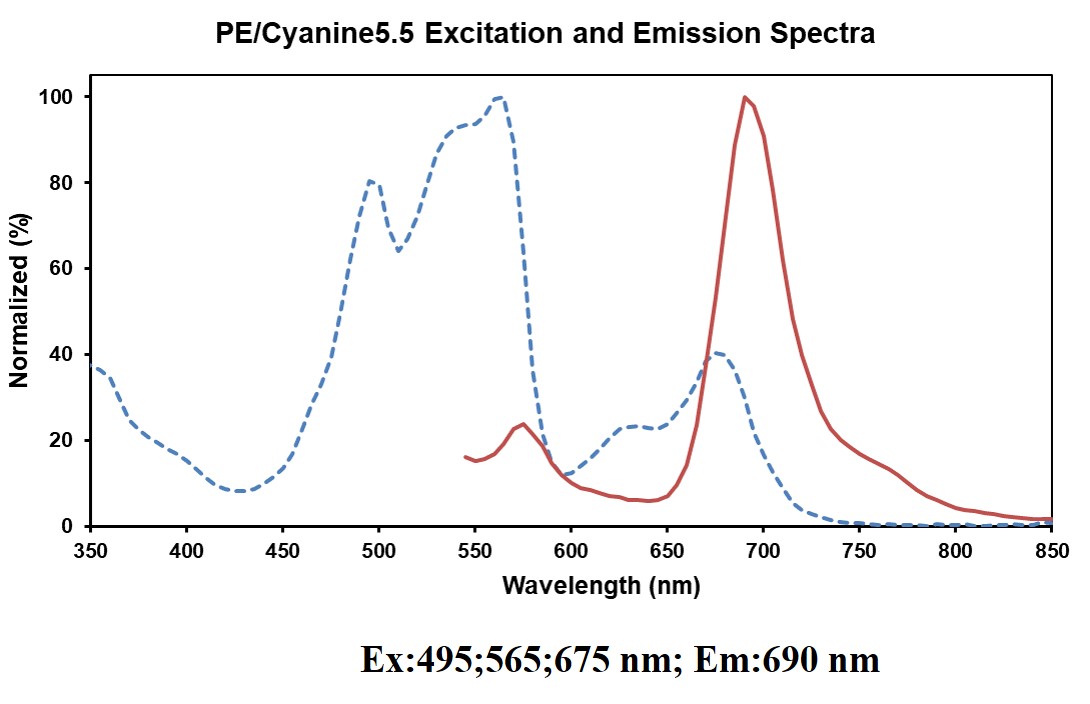 PE/Cyanine5.5 Anti-Mouse CD4 Antibody[GK1.5]