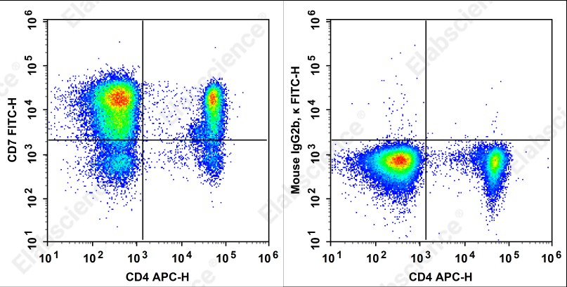FITC Anti-Human CD7 Antibody[3A1e] - 1