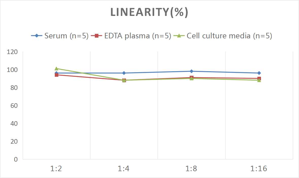 High Sensitivity Mouse TNF-α(Tumor Necrosis Factor Alpha) ELISA Kit-产品推荐-2