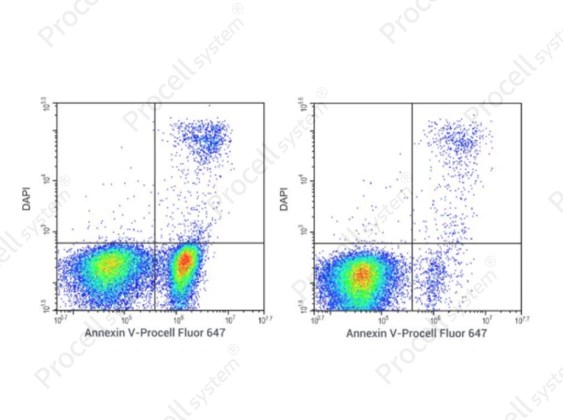 Annexin V-Procell Fluor 647 Reagent