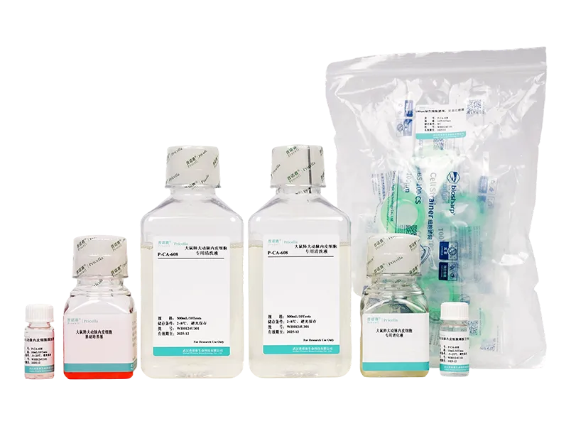 https://789.bio/ec/Hti5lD