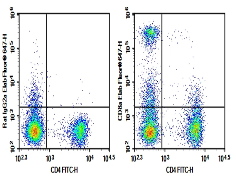 AF/LE Purified Anti-Mouse CD8a Antibody[53-6.7]-1