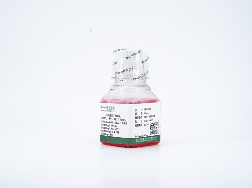 https://789.bio/ec/Hx1haL
