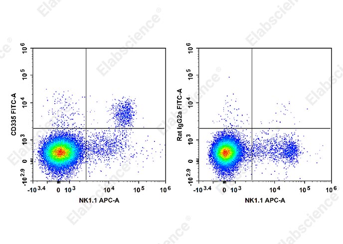 FITC Anti-Mouse CD335/NKp46 Antibody[29A1.4]-1