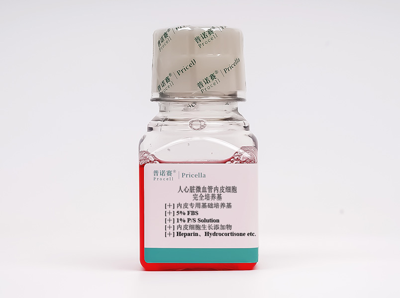 https://789.bio/ec/HxLO4C
