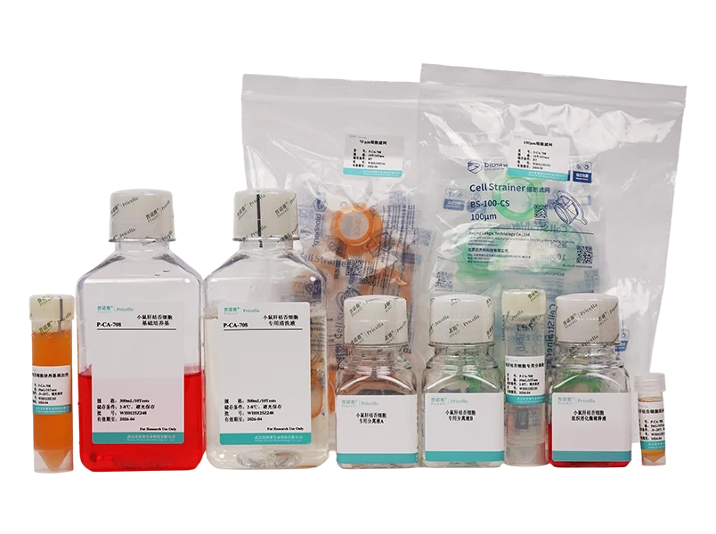 https://789.bio/ec/Hxi14R