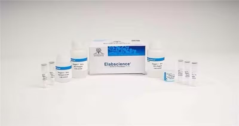 Hydroxyproline (HYP) Colorimetric Assay Kit (Alkali Hydrolysis Method) - 3