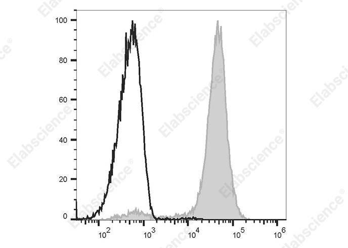 PE Anti-Rat CD11b/c Antibody[OX-42] - 1