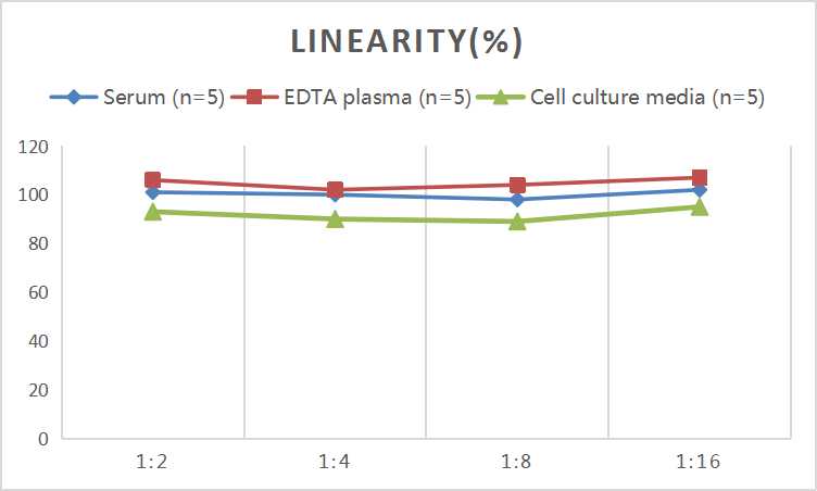 Mini Sample Human IL-8 (Interleukin 8) ELISA Kit - 2