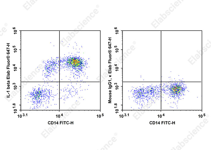 Elab Fluor<sup>&reg;</sup> 647 Anti-Human IL-1β Antibody[CRM56] - 1