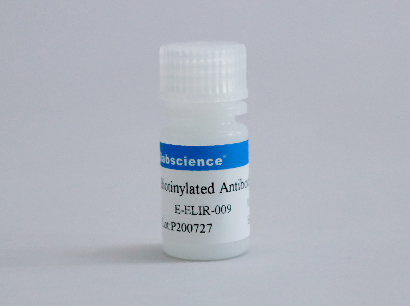 Biotinylated Antibody Stabilizer
