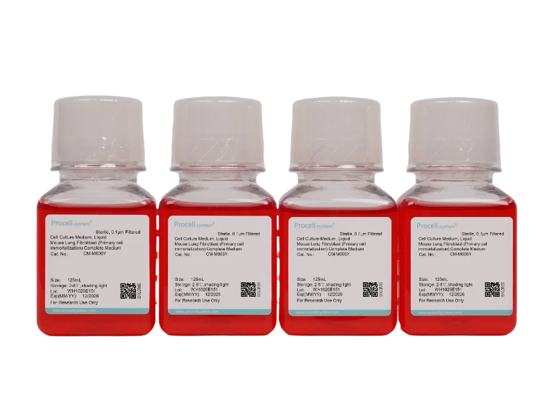 Mouse Lung Fibroblast (Primary cell immortalization) Complete Medium - 7