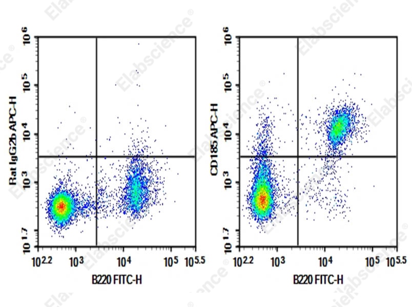 Purified Anti-Mouse CD185 Antibody[L138D7] - 1