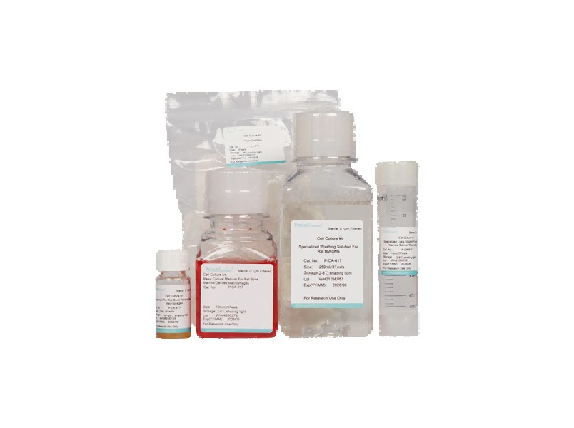 Rat Bone Marrow-Derived Macrophage Isolation and Culture Kit