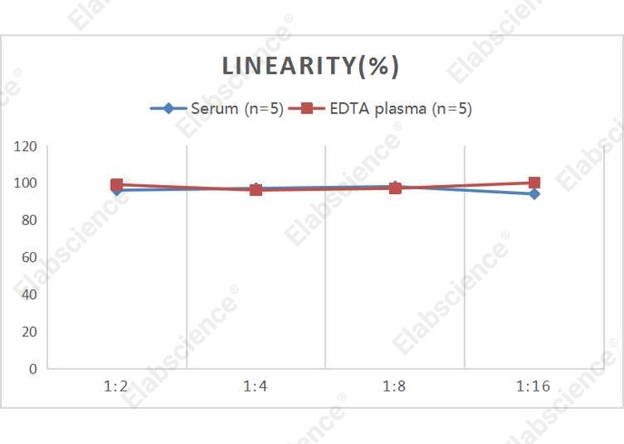 QuicKey Pro Human CD63 (Tetraspanin 30) ELISA Kit - 2