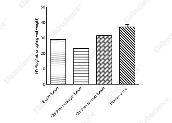 Hydroxyproline (HYP) Colorimetric Assay Kit - 2