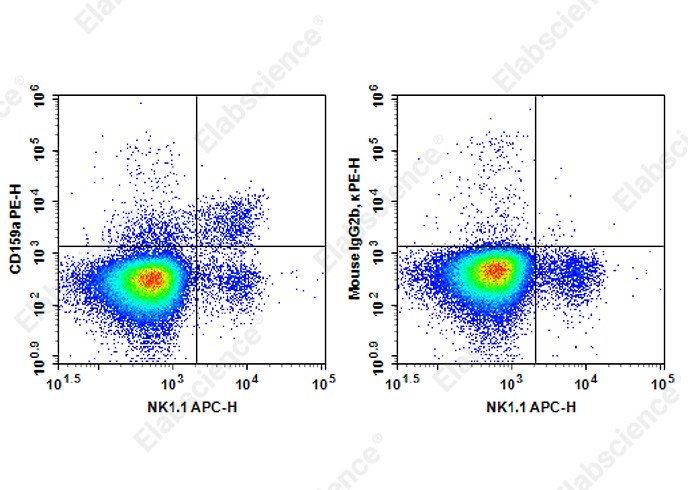 PE Anti-Mouse CD159a Antibody[16A11] - 1