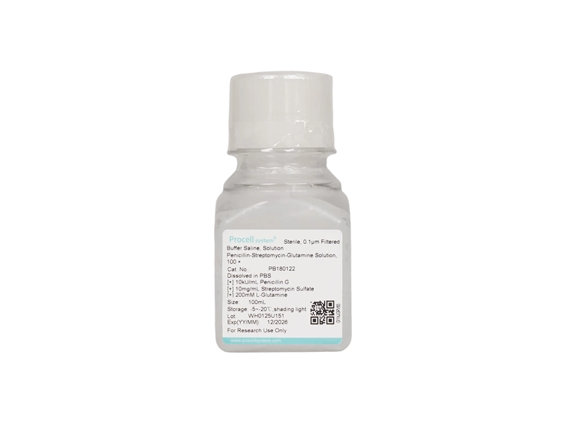 Penicillin-Streptomycin-Glutamine Solution, 100 × - 1