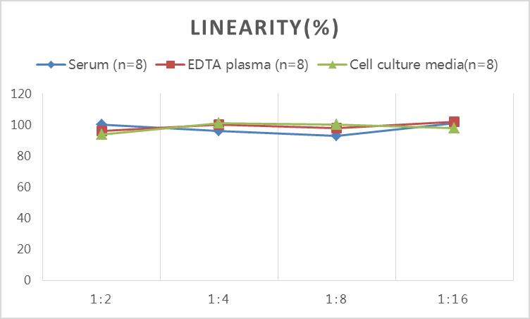 Rat TNF-α(Tumor Necrosis Factor Alpha) ELISA Kit-1