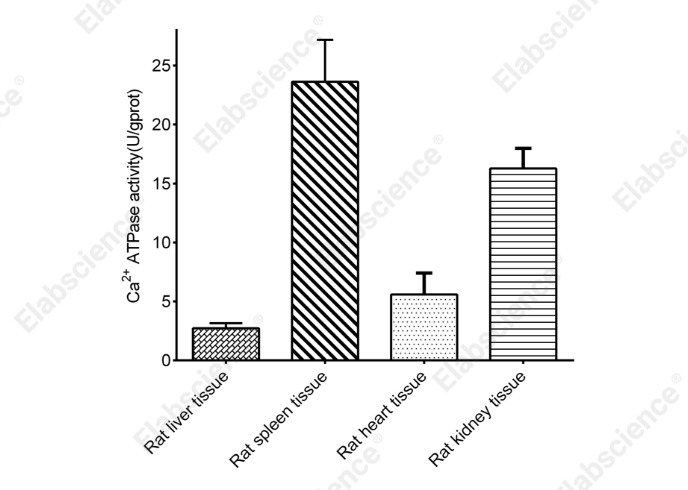 Ca²⁺-ATPase Activity Assay Kit - 1