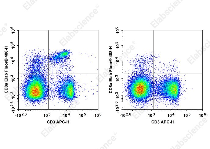 Elab Fluor® 488 Anti-Mouse CD8a Antibody[YTS169.4]-1