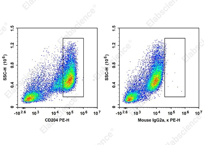 PE Anti-Human CD204 Antibody[7C9C20]-searchlist-1