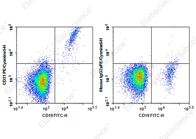 PE/Cyanine 5 Anti-Human CD21 Antibody[HB5] - 1