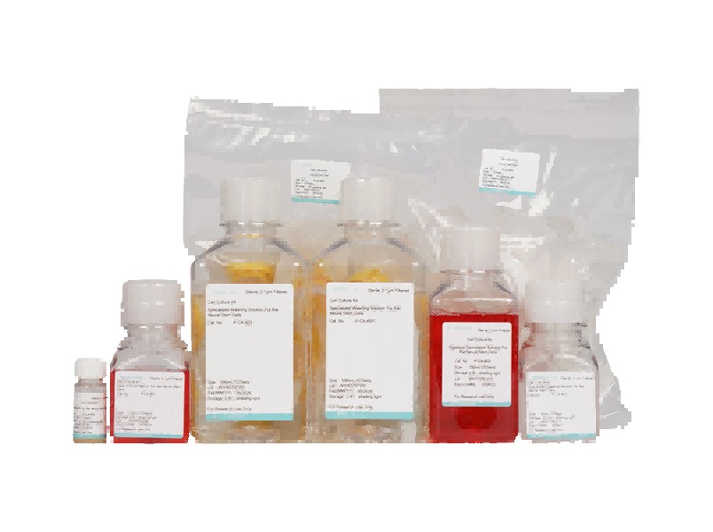 Rat Neural Stem Cell Isolation and Culture KitRat Neural Stem Cell Isolation and Culture Kit - 2