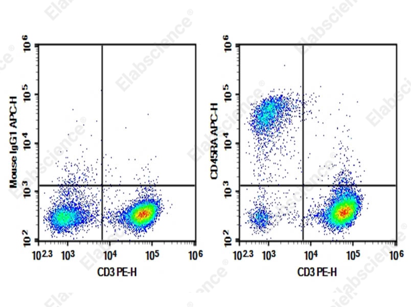 Purified Anti-Rat CD45RA Antibody[OX-33] - 1