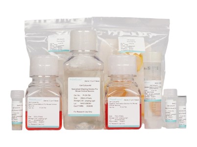 Mouse Cortical Neuron Isolation and Culture Kit - 1