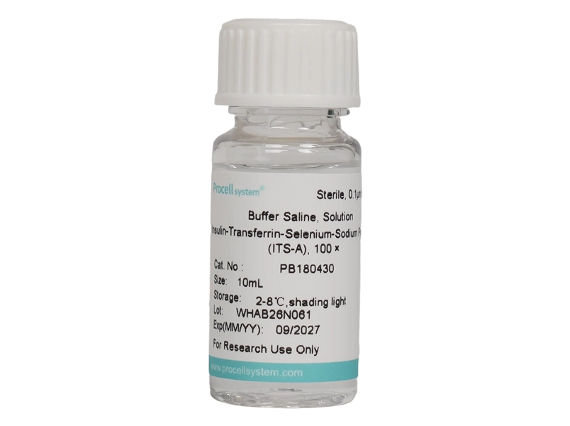 Insulin-Transferrin-Selenium-Sodium Pyruvate (ITS-A), 100 &times;
