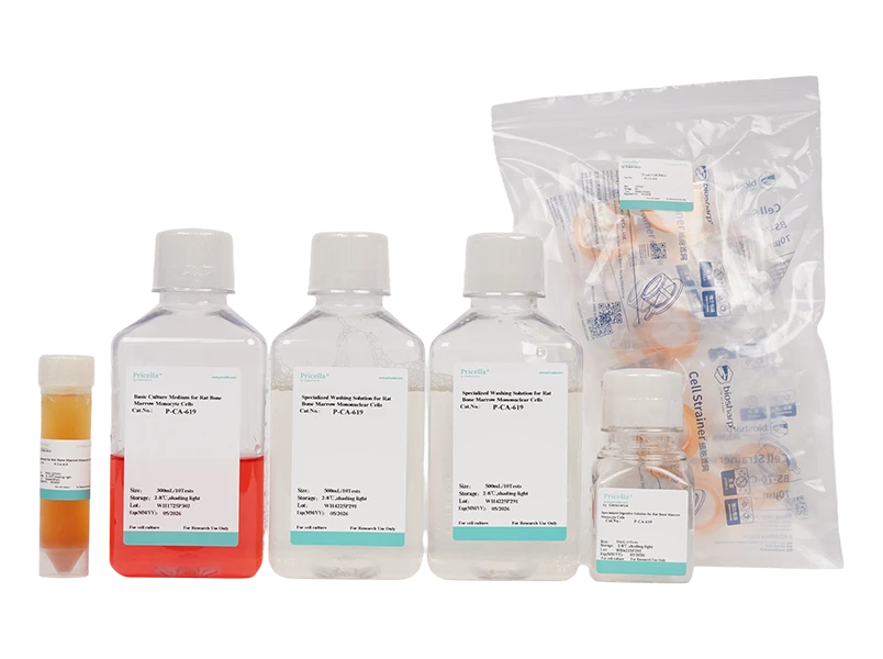 Rat Bone Marrow Mononuclear Cells Isolation and Culture Kit - small - 2
