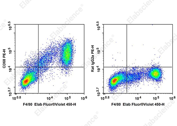 PE Anti-Mouse CD68 Antibody[FA-11]-searchlist-1