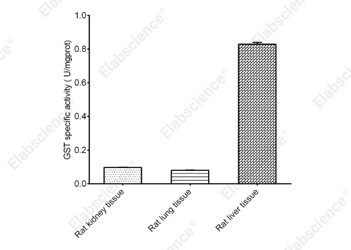Glutathione-S-Transferase (GST) Activity Assay Kit - 2