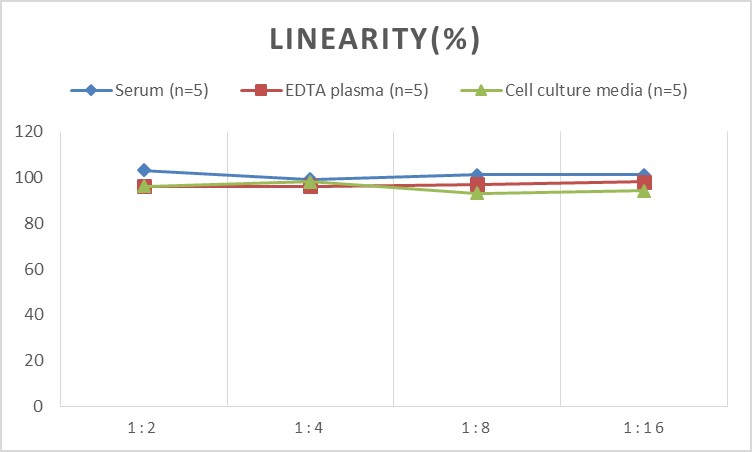 Human Flt3L(FMS-like Tyrosine Kinase 3 Ligand) ELISA Kit-产品推荐-1