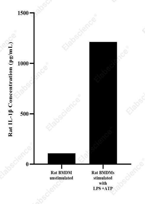 Uncoated Rat IL-1β(Interleukin 1 Beta) ELISA Kit - 3