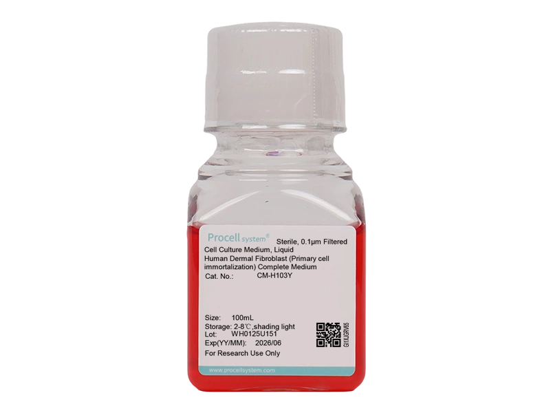 Human Dermal Fibroblast (Primary cell immortalization) Complete Medium