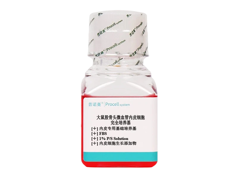https://789.bio/ec/JKQHlQYz